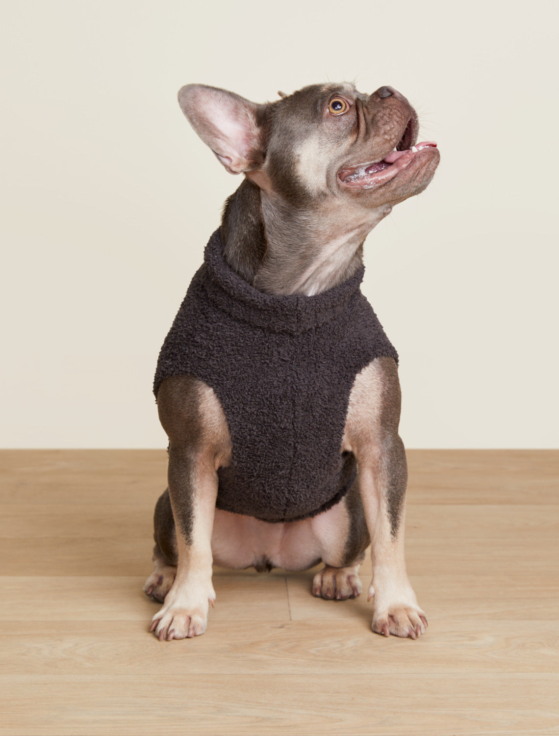 CozyChic® Skull Pet Sweater