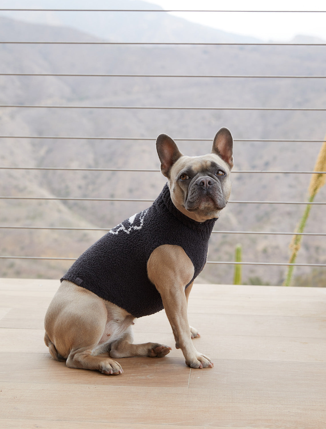 CozyChic® Skull Pet Sweater