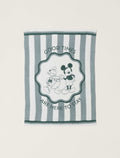 CozyChic® Disney Mickey And Donald Stripe Blanket