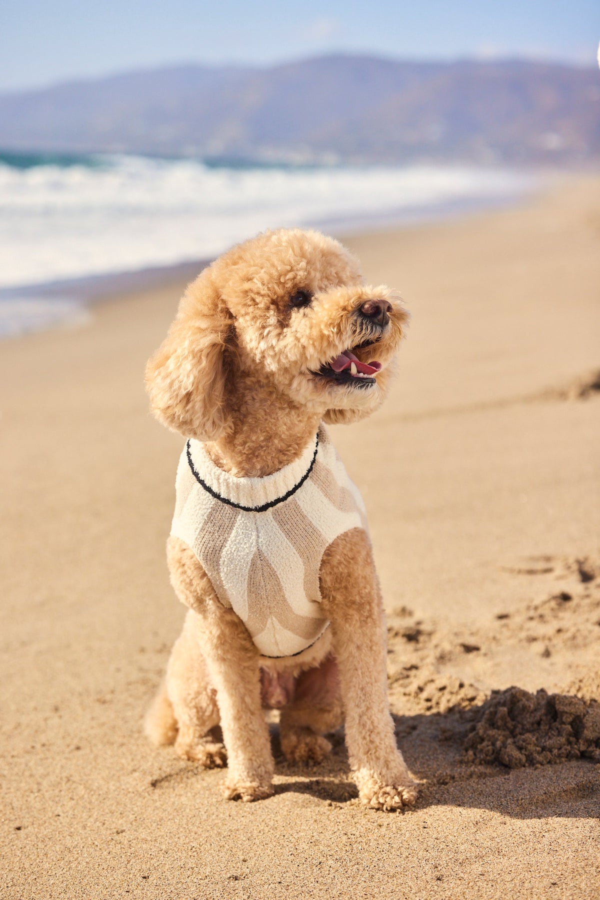 CozyChic® Cotton Classic Stripe Pet Sweater